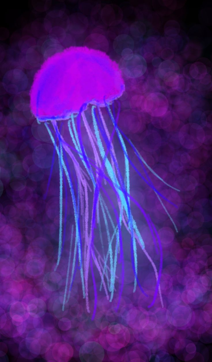 Jellyfish